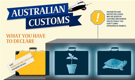 carrying fake bag through customs australia|can't bring back to australia.